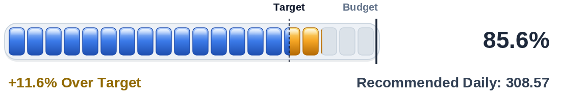 Budget progress: 85.6%, +11.6% over target, recommended daily 308.57